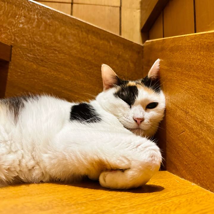 57d761ce d142 408e 8e61 5c585d0d247e 1664072033148