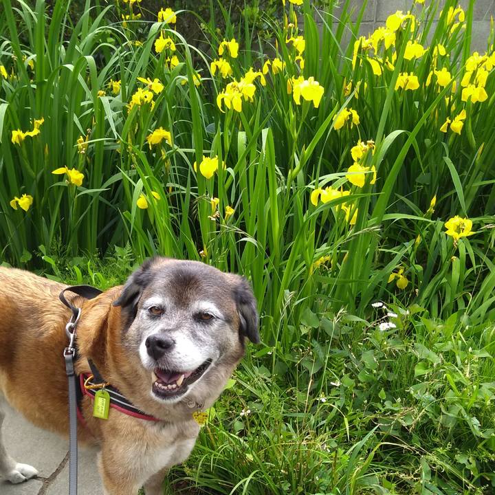 57d77560 0612 4b29 a5d9 dd1eb99fc1e7 1558311299660