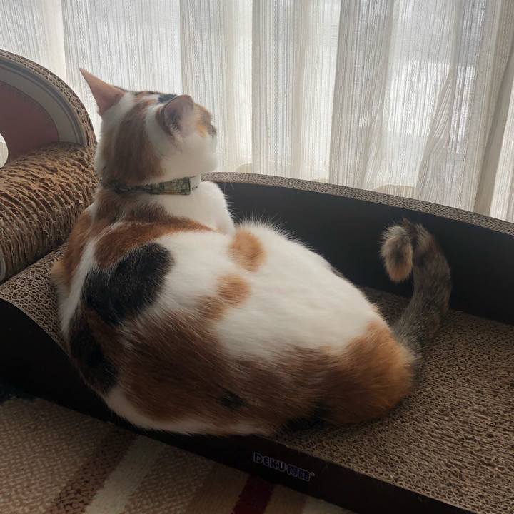 57d78ac6 0a09 454e b944 5f5d96ef2053 1598157494194