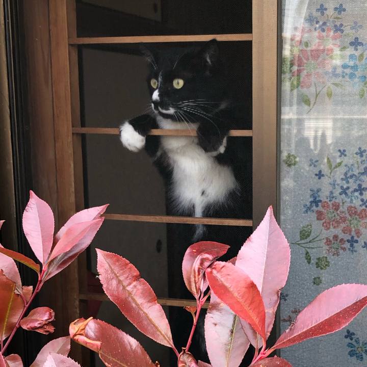 57d7914a e891 42b1 916c d0e7d7d1dde0 1588822025130