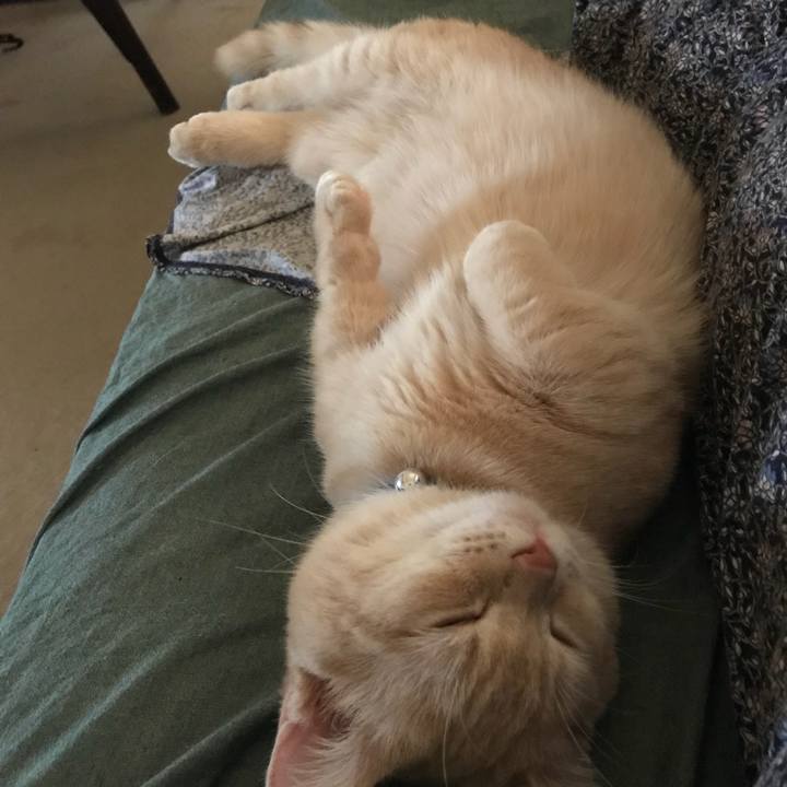 57d79cec 1006 4586 995f 0726f3c0e8b9 1520055105555