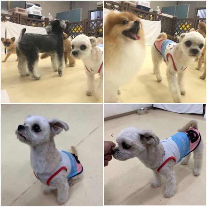 57d7cfd4 ccfe 45b1 9542 ef508641c2b6 1571139626092