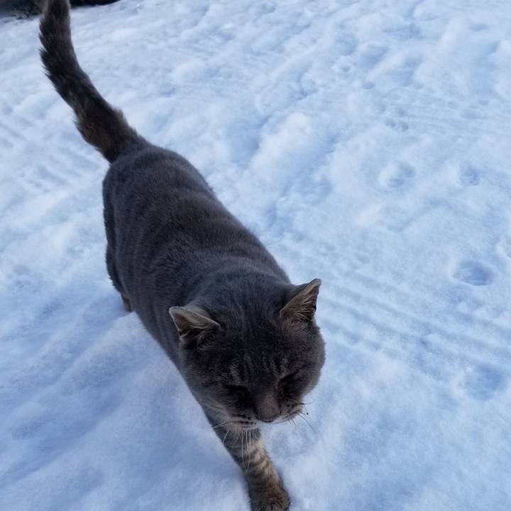 57d7dd28 f115 4627 9510 0dca4a17741d 1544419970268