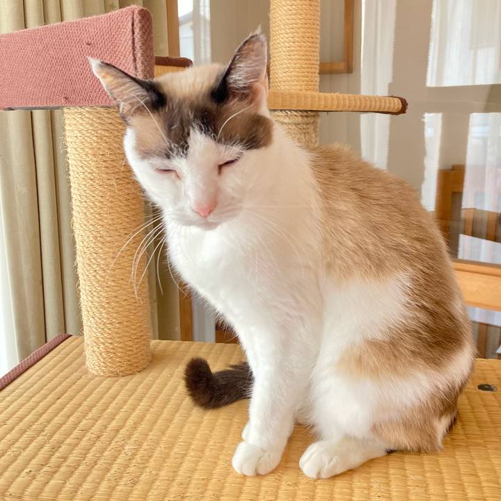 57d7e929 3408 46f2 8bf1 4a7938e48043 1644738036760