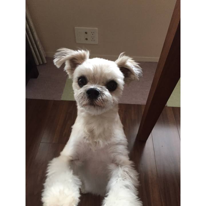 57d823b2 1e58 4d48 948b 9b2851eae4f1 1545528722284