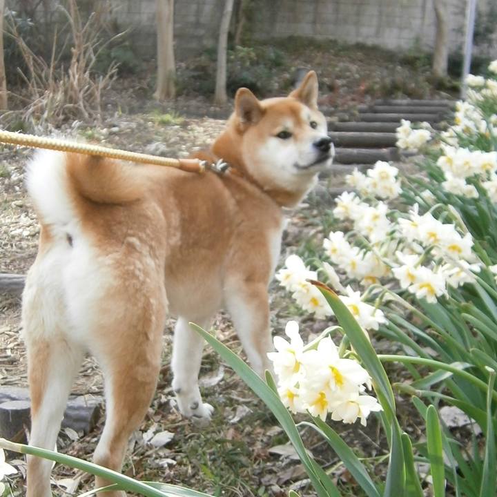 57d8a802 a165 49a4 8ba9 835754a8e521 1685483982873