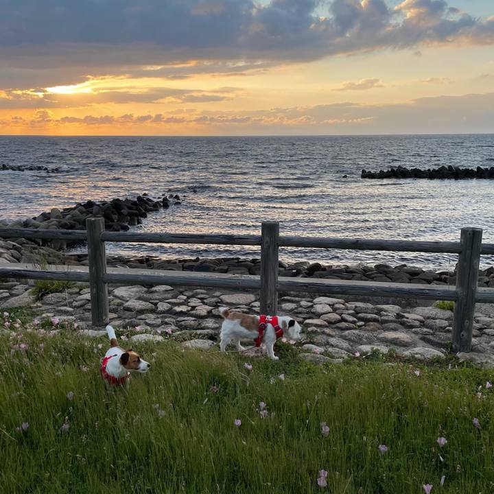 57d8b939 f849 4faf b4f9 c41c9ff4b680 1654251497008