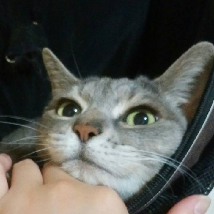 57d8d1cf 2e81 4659 bdfd 2d02b29fcaee 1560345056755