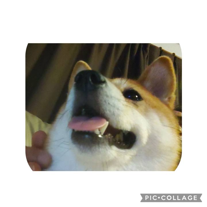 57d8d226 b2e6 4e68 910c 1ed139cd88a7 1690627559663