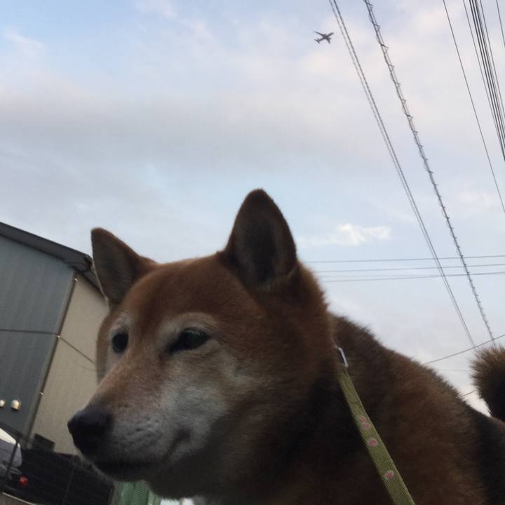 57d8d4dd 2d27 4eb7 a7ae c8040287d52a 1580718232735