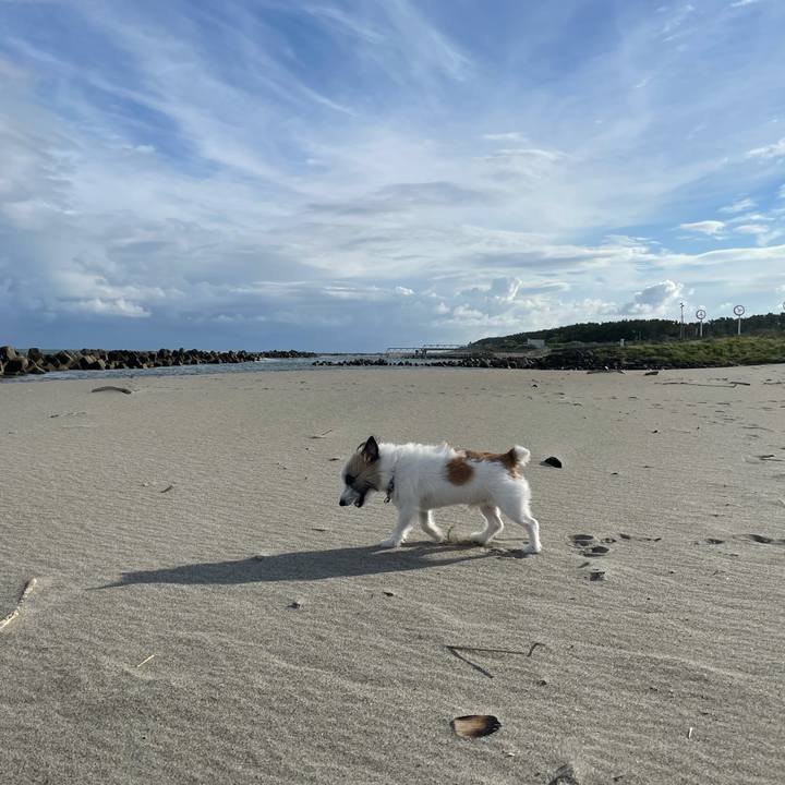 57d8e8d1 fd3d 436f a377 56f1b8f2d42a 1632443528509