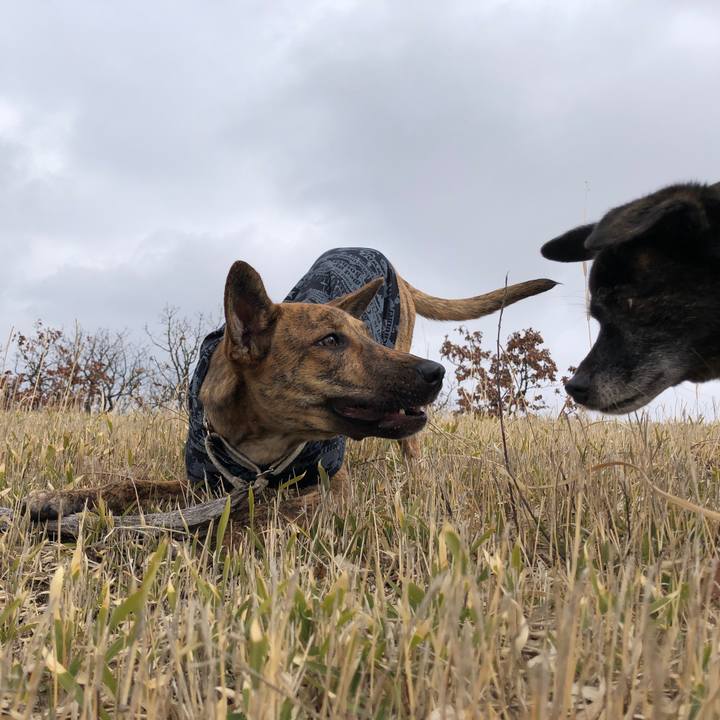 57d90bed f535 448b a1f0 451349afc742 1581423879535