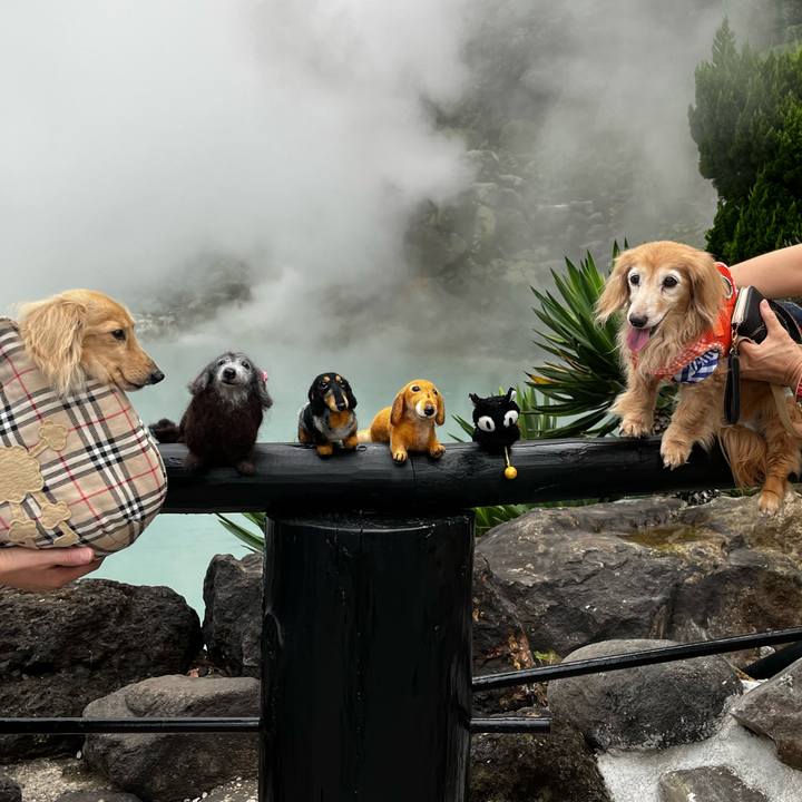 57d94a62 5630 4847 b941 d256aa140aec 1658155826256