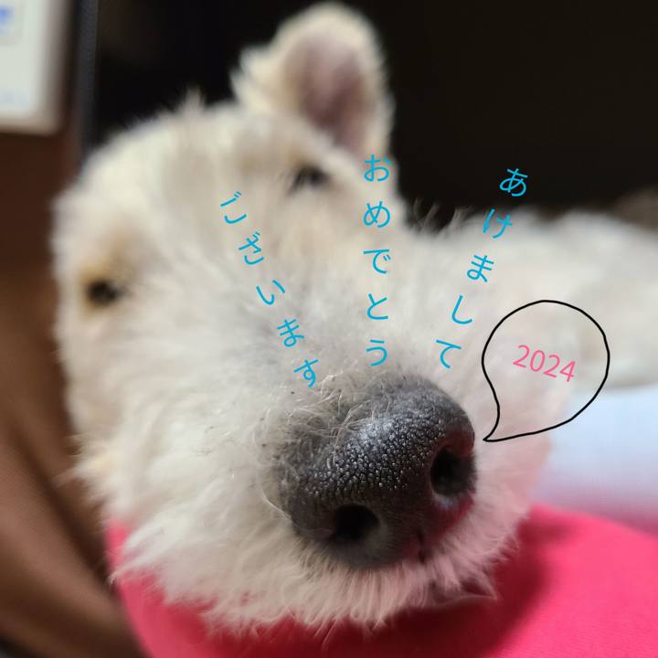 57d9681a 2e41 4875 8838 2fb4cd704bab 1704065607440