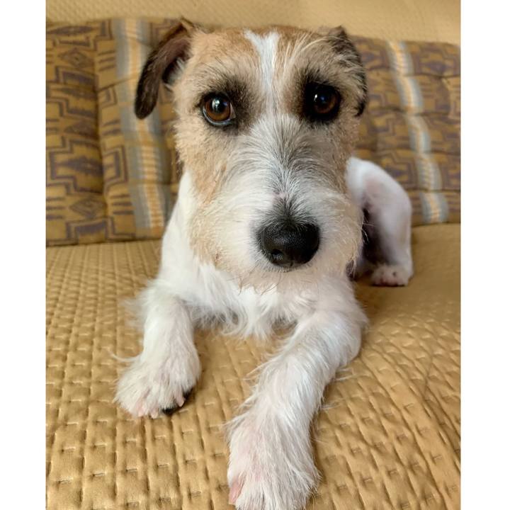 57d9847f 0fe4 42fa 9e92 085b878eccc2 1659658857079