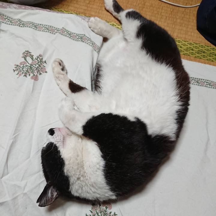 57d9982e b020 4f88 a8c9 a9a8f1fc718c 1589286317606