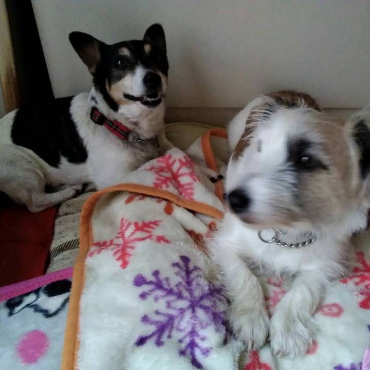 57d99af2 4bbb 4b82 9c38 73d98591af0c 1549525699029