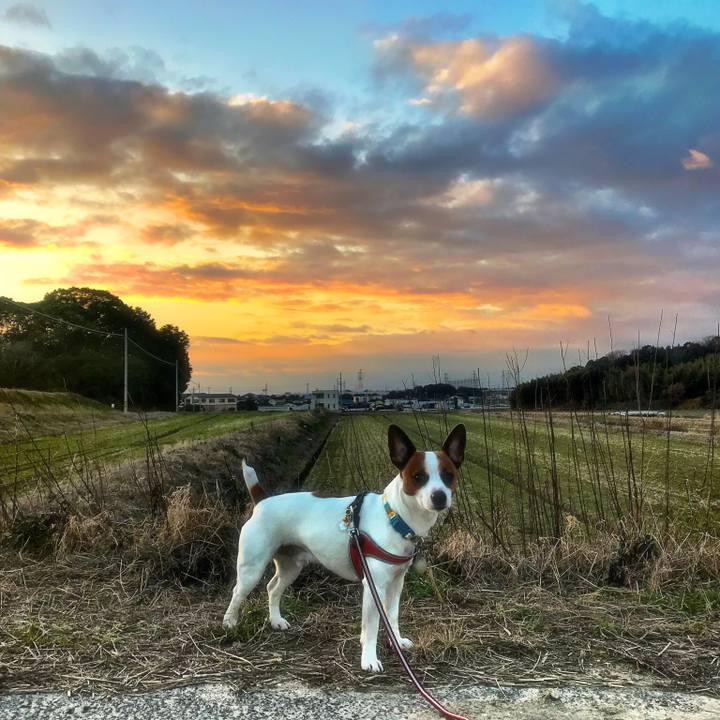 57d9bb1c 09fd 421b 8a48 86fa5bb18ec7 1514641688630