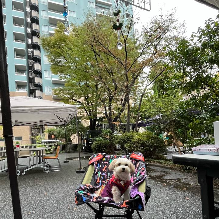 57d9d509 e581 4d7f 9c87 0d299e99445c 1761472369557