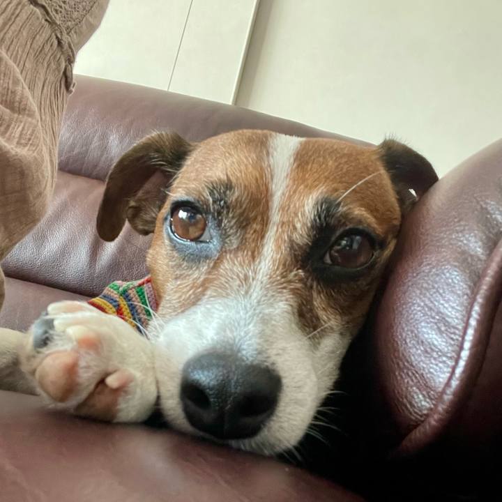 57d9d53c fc8b 4e8a 896e 4537db2847a8 1740003825139