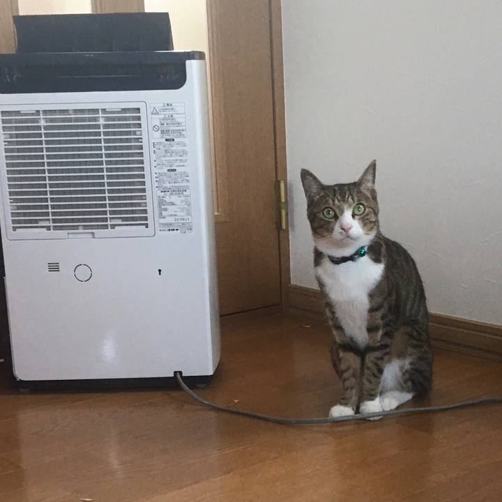 57d9d697 83be 40ea b3f6 24dd5994f38b 1687819150971