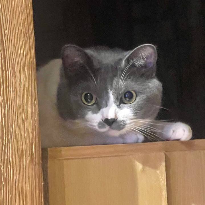 57d9ee2c 1daa 49ad b437 7f5d279db2f6 1658744168618