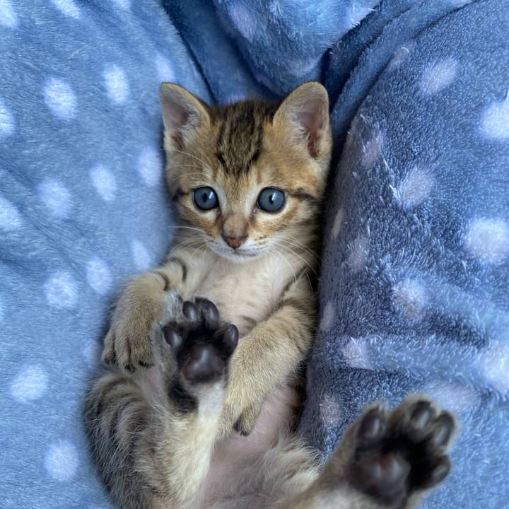 57da7c37 9192 4961 8a77 1ec0298a0486 1620622936426