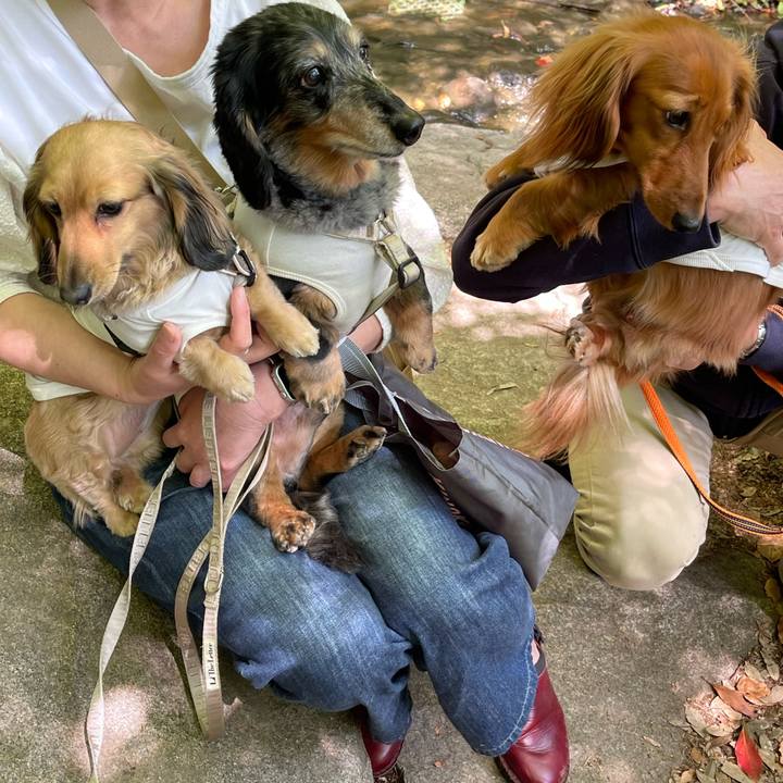 57da8b9d d875 4c80 a12e 49ac3e976444 1746748152508