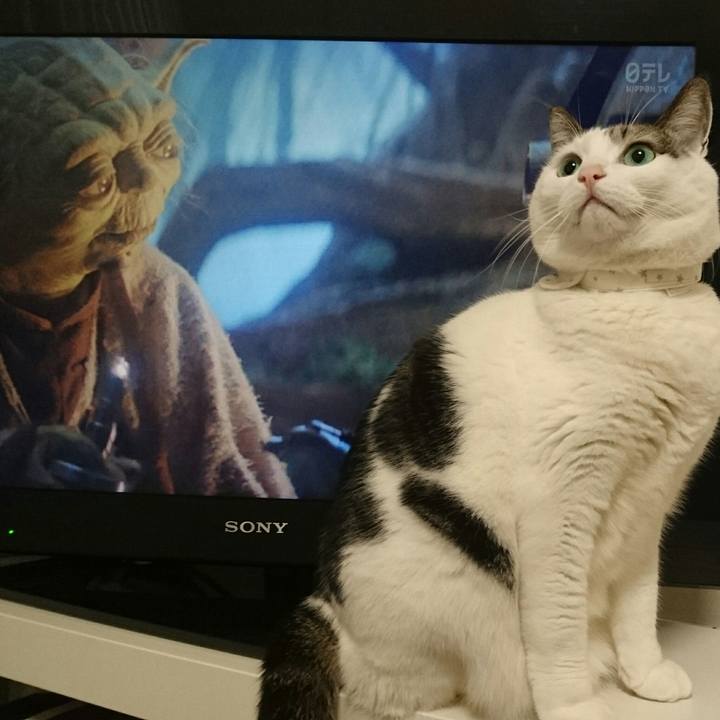 57dab7c7 715c 4448 9bc2 c7bed640a963 1512138507643