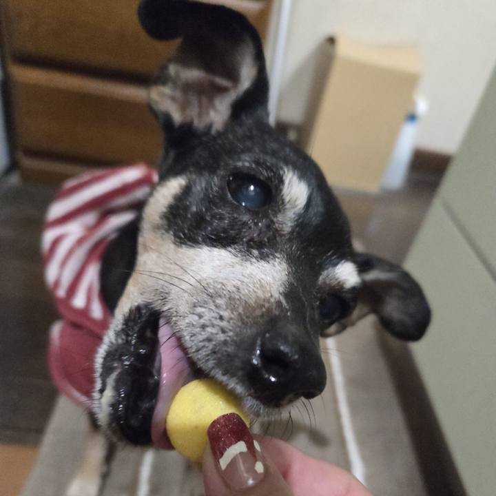 57daba06 c175 4761 bea9 e5b5a4ef3257 1764272891248