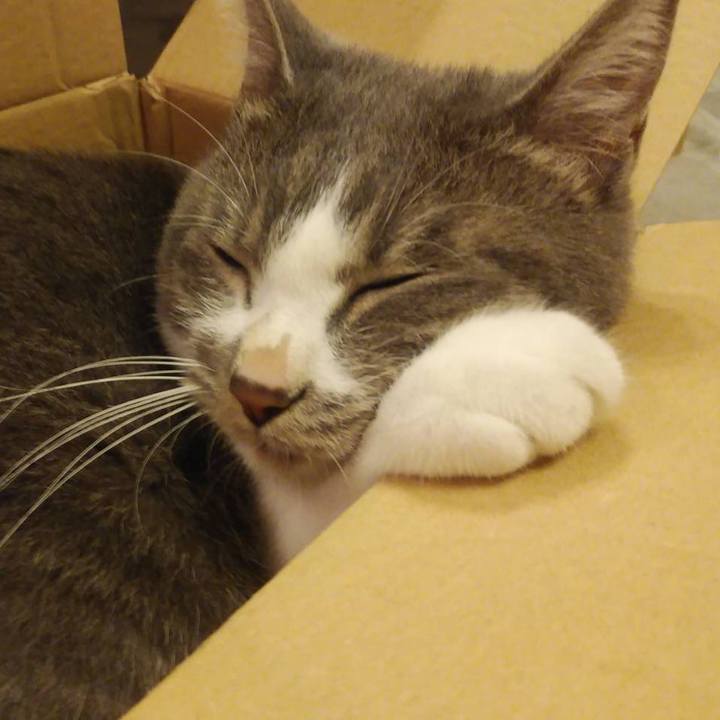 57dabbe4 8e3e 4258 b0f4 2e519134ecad 1600863618992