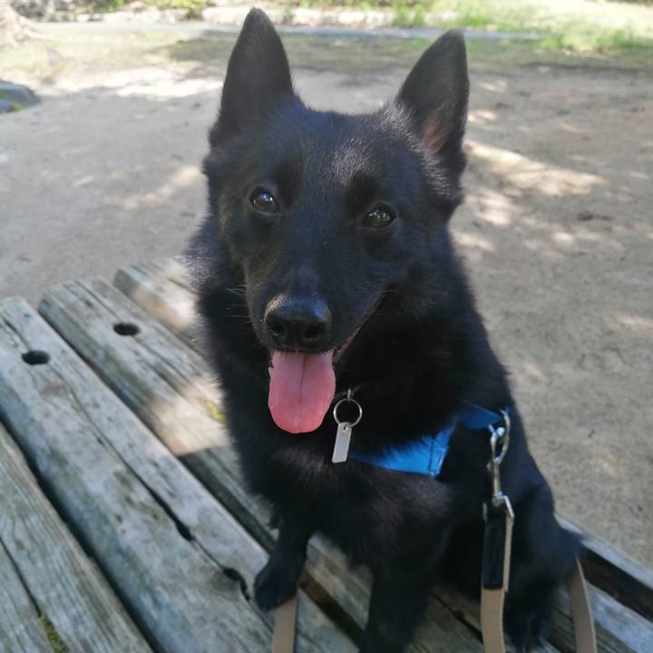 57dae839 91a5 45e3 a9e4 6930bdc7b398 1622242996767