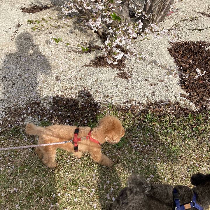 57dafedc 5fb4 4575 a3b4 aec23e7f695b 1680662171299