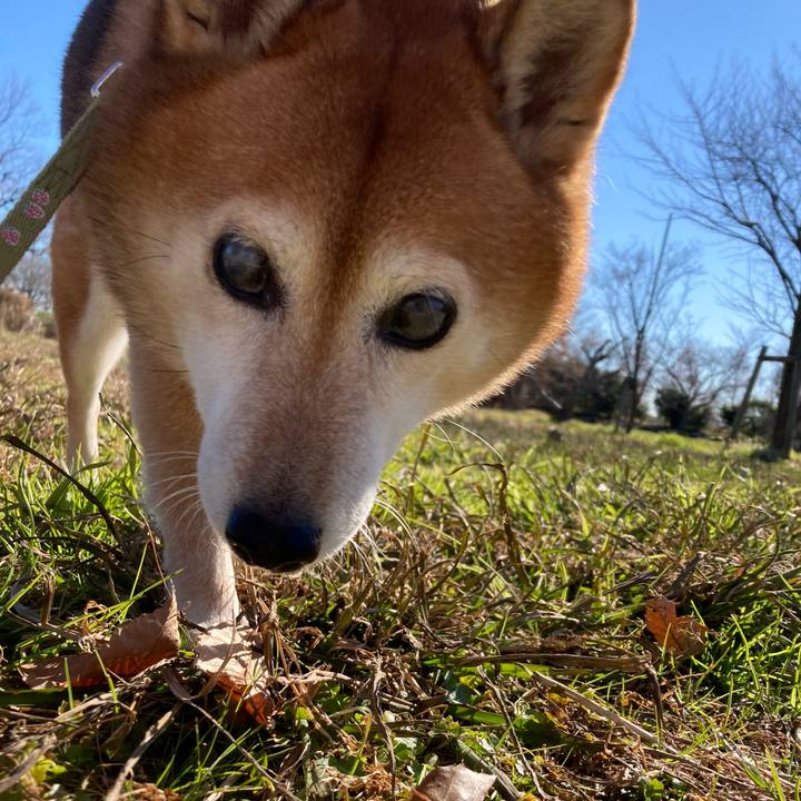 57db27d1 eac4 466c 8c29 25d716cc8730 1671532998531