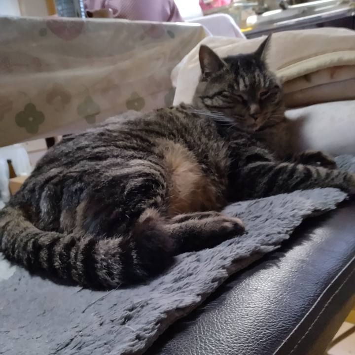 57db35e5 b541 4590 96bc 16733c1460b4 1671147856488