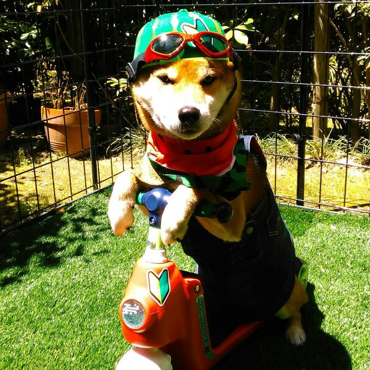 57db6f90 4965 43a5 9f0c 9e512e316ba3 1526782027593