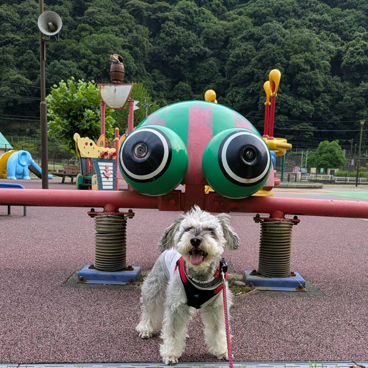 57dbb45a 72ef 4611 8fae 336ca6712088 1751186494572