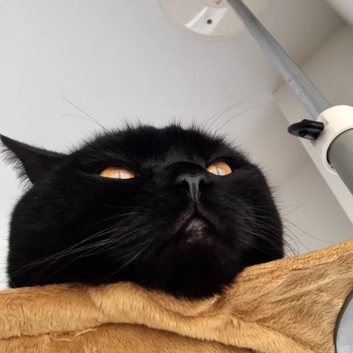 57dbc15d 697d 4a62 aedd 72049188cc01 1582852670854