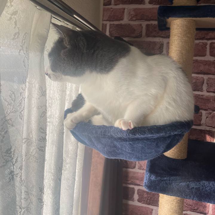 57dbea27 f0e0 40a4 ae9a af86e9eb1f3a 1700784029255