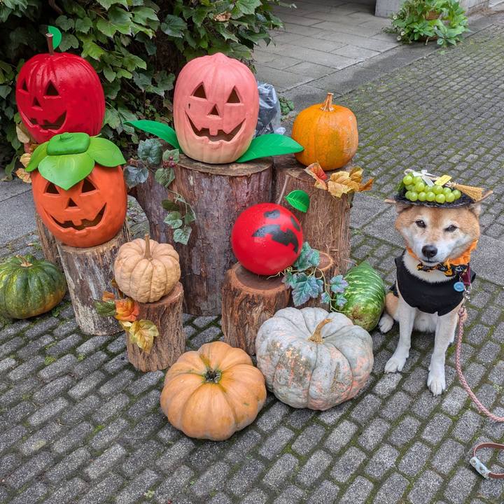 57dbfa72 2a7d 4cae a57d 825d472692f7 1759720300676