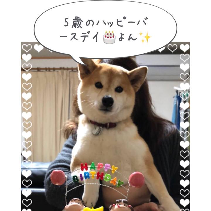 57dc0c62 d878 4775 864d 3885fa675735 1516281840406