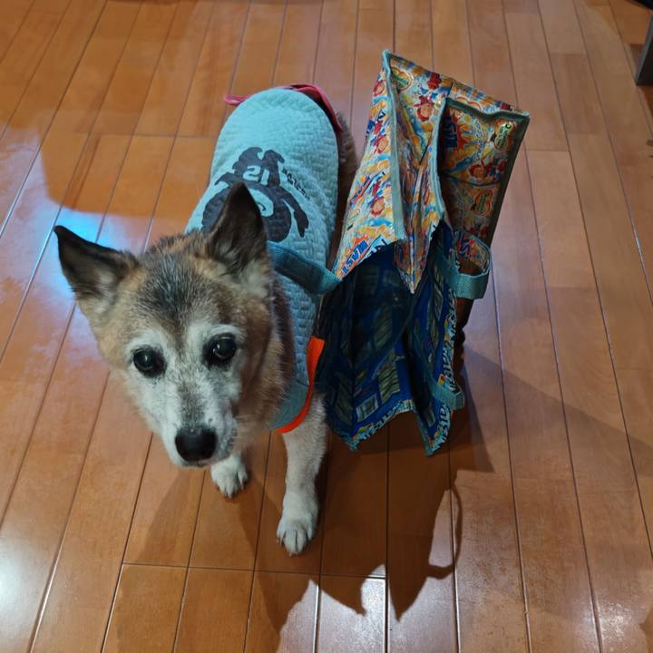 57dc141c 46aa 4218 b21b 5aa50b1b5ab5 1766738432741