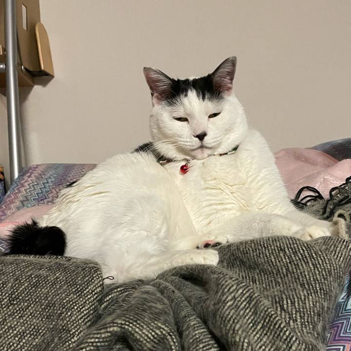 57dc40d3 00de 4506 a217 2a3b0de87c2d 1642328595448