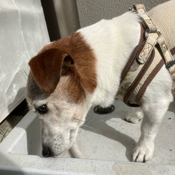 57dc4331 c913 4a8d aa3c ff3c23a48250 1762384936595