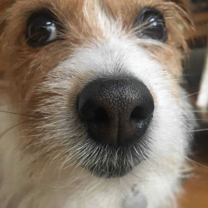 57dc581f 4b4f 4658 8b4a 660de1a13c7e 1523763395680