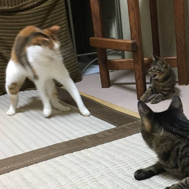 57dc9eb9 9170 4a6e 93df 8d98fa2c7832 1530531824898