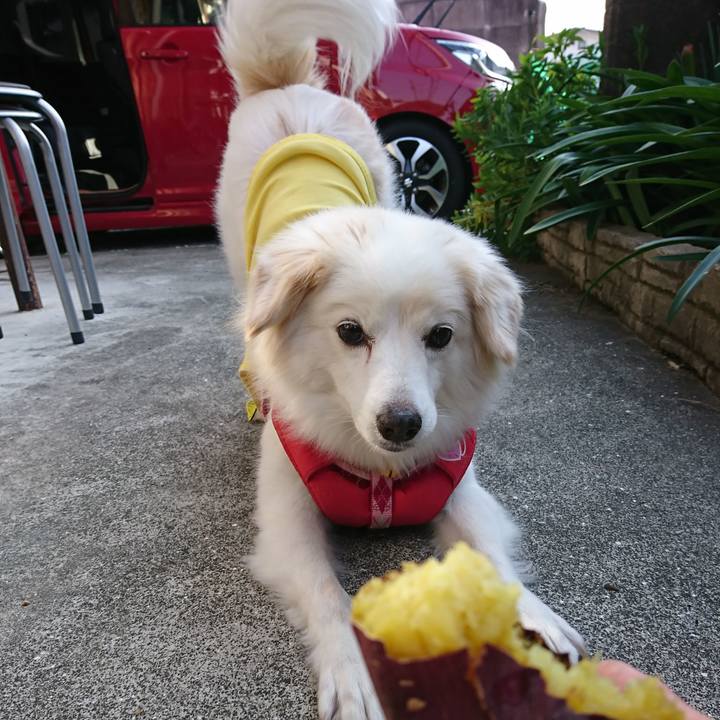 57dca81e bc38 4bde a11c 32b0f76406ae 1637384444488