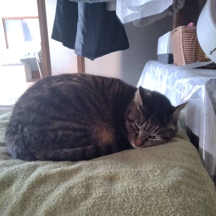 57dcb689 2904 4de8 aae7 e8205c2c4850 1679905019116