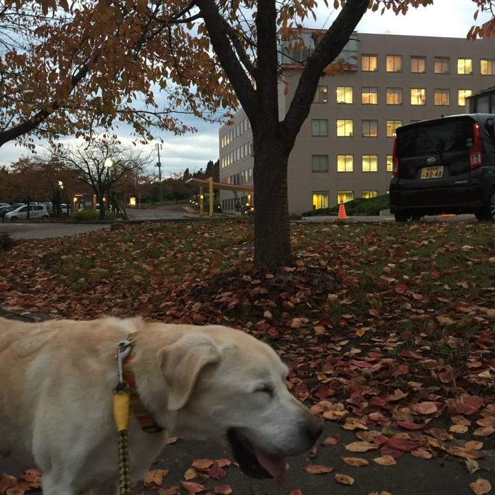 57dcf646 146c 4ca2 9f60 beff834a4586 1541326379152