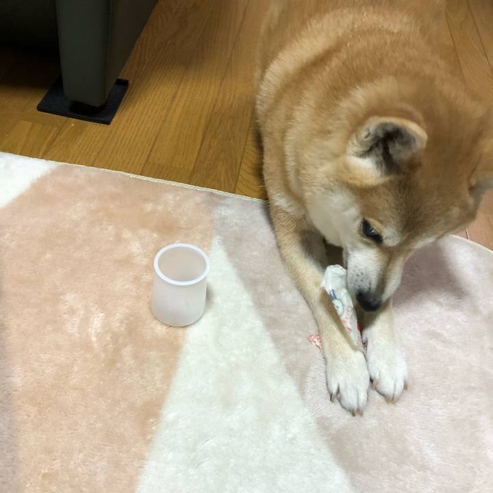 57dd0903 2258 42f0 935d f570baa2c5af 1582893323482